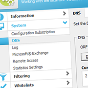 管理工具中的DNS设置页面